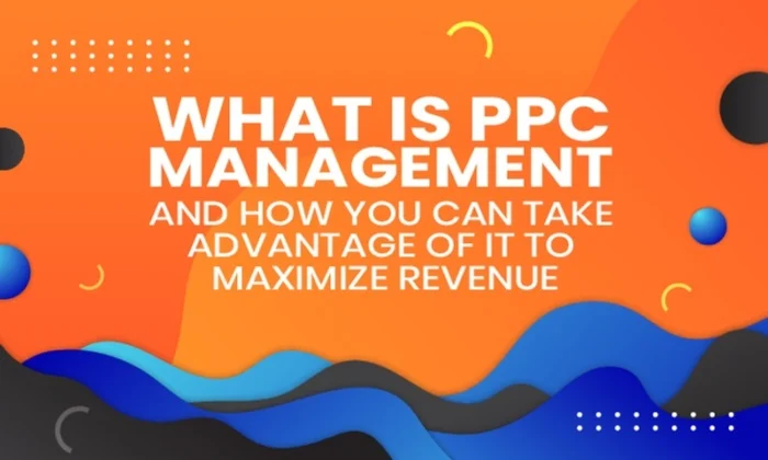 advantages of PPC management